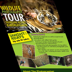 Parfait Hospitality: Emailer design for Wildlife Photography Tour